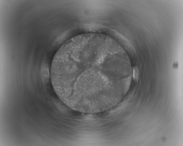 X0000103151155200809192022