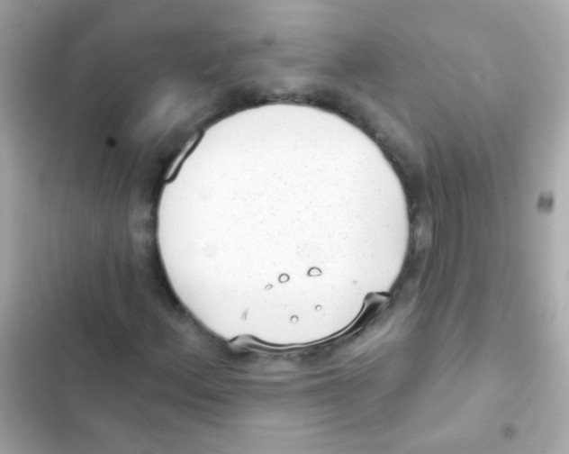 X0000103151156200809192022