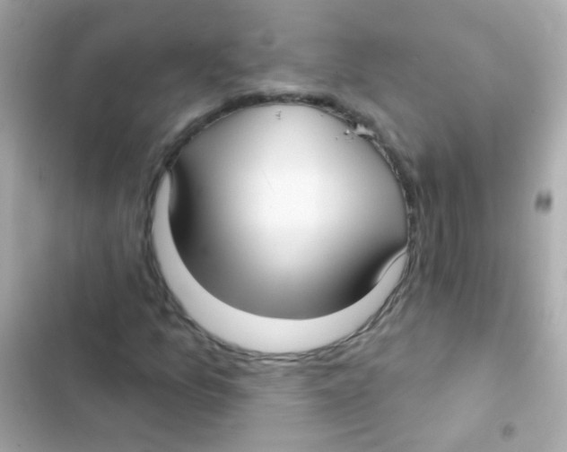 X0000103151157200809192022