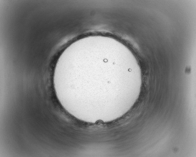 X0000103151159200809192022