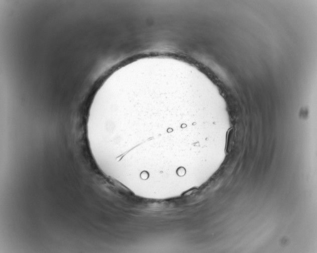 X0000103151160200809192022