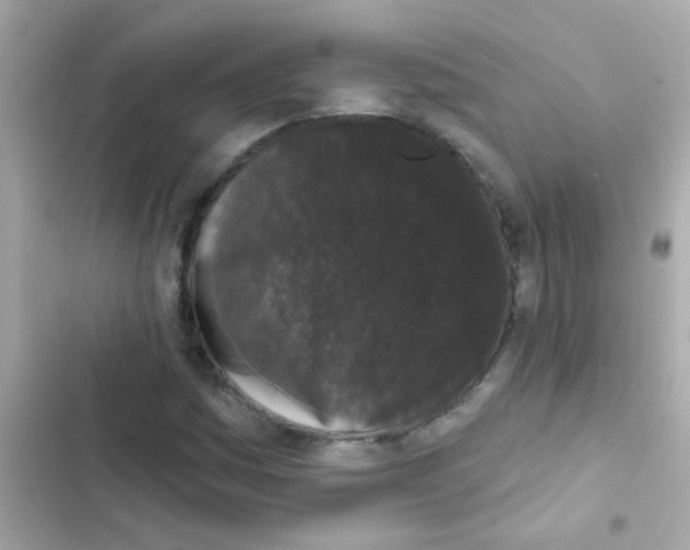 X0000103151161200809192022