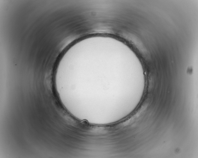 X0000103151162200809192022