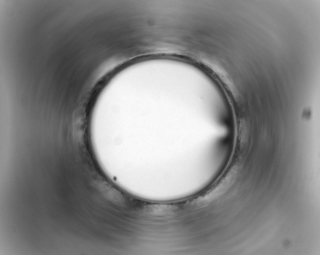 X0000103151163200809192022