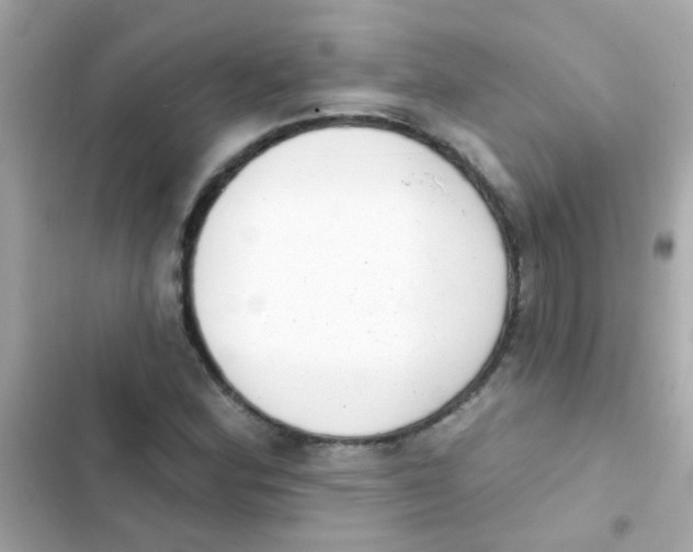 X0000103151164200809192022