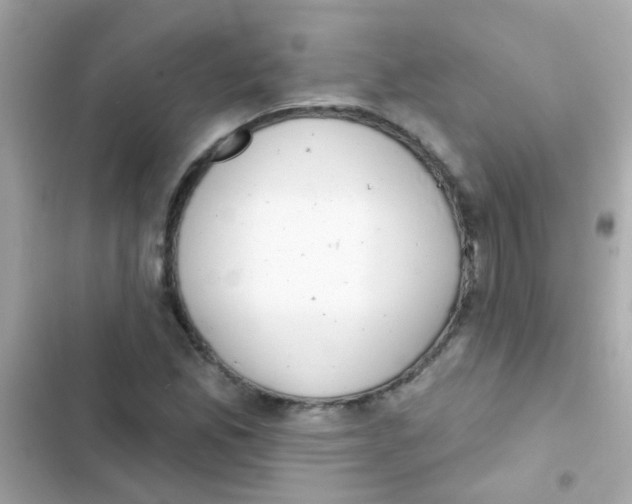 X0000103151165200809192022