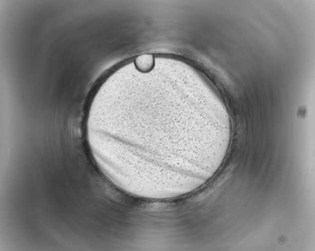 X0000103151166200809192022