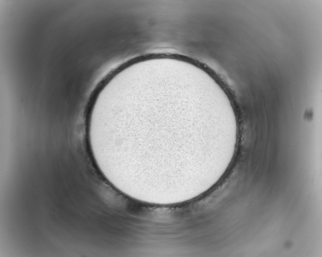 X0000103151167200809192022