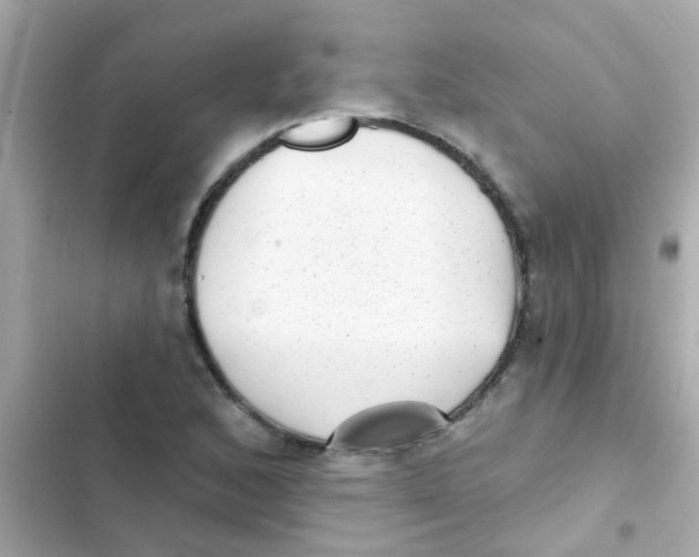 X0000103151168200809192022