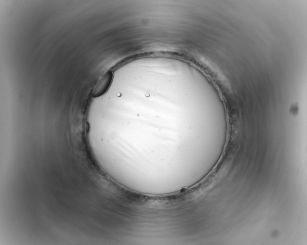 X0000103151169200809192022