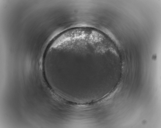 X0000103151173200809192022