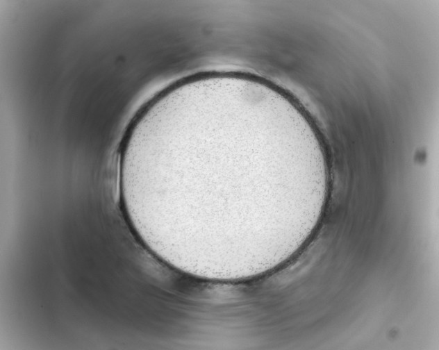 X0000103151175200809192022