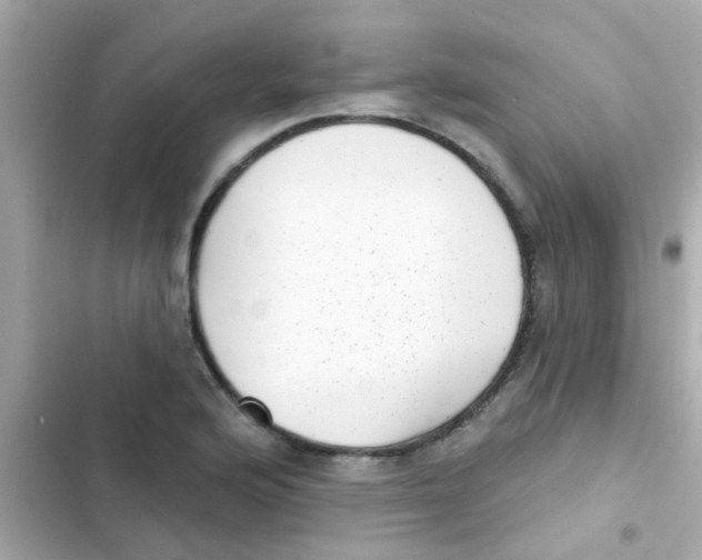 X0000103151176200809192022