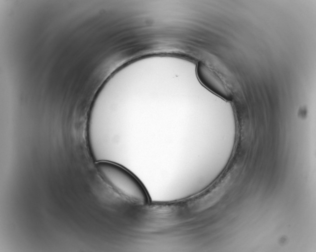 X0000103151177200809192022