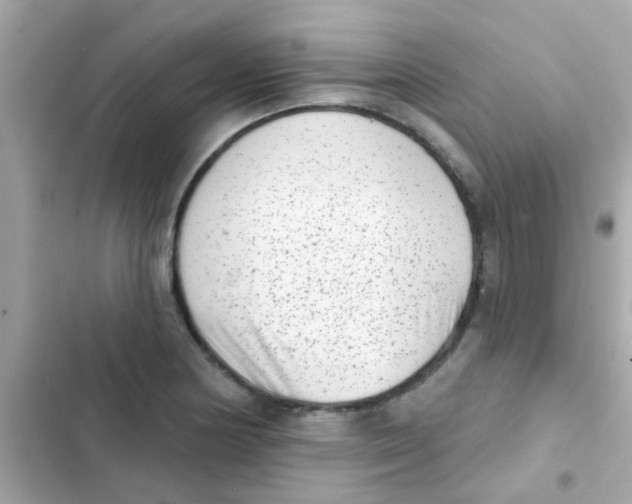 X0000103151178200809192022