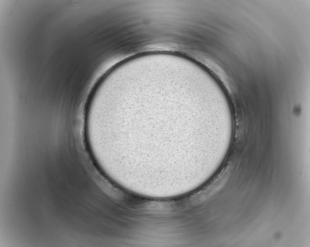 X0000103151179200809192022