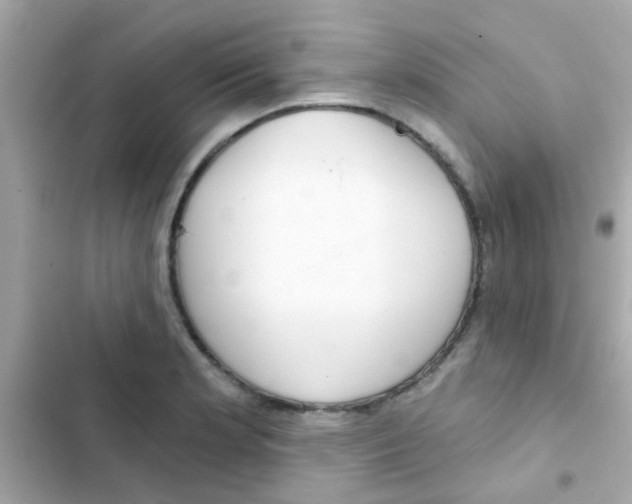 X0000103151181200809192022