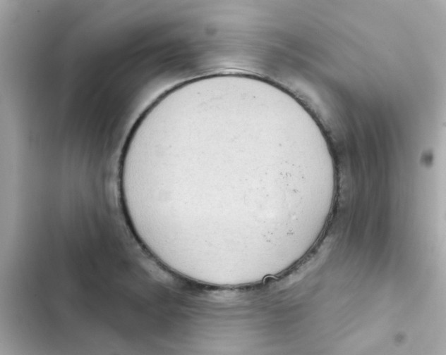 X0000103151182200809192022