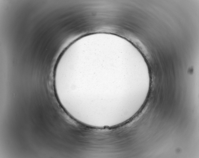 X0000103151184200809192022