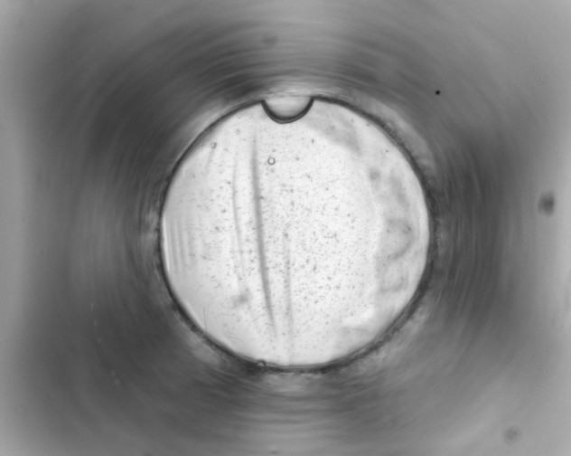 X0000103151185200809192022