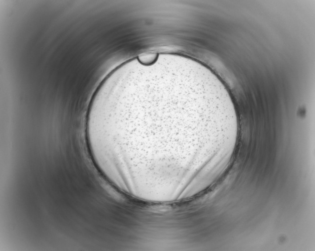 X0000103151186200809192022