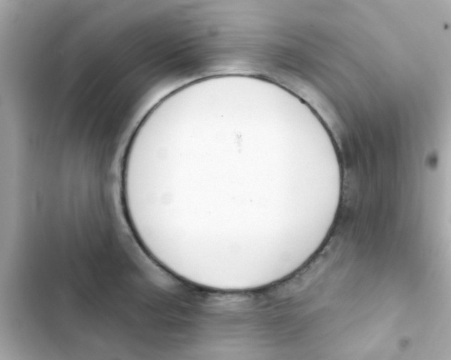 X0000103151187200809192022