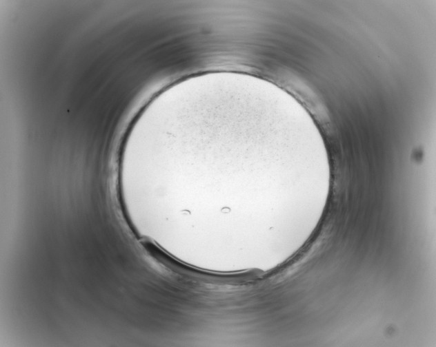 X0000103151188200809192022