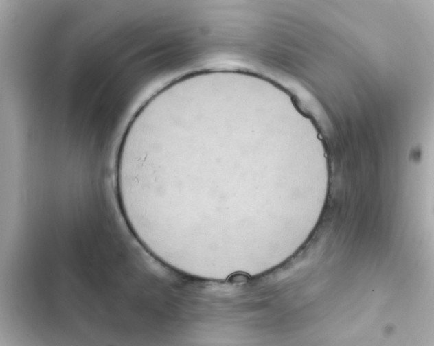 X0000103151191200809192022