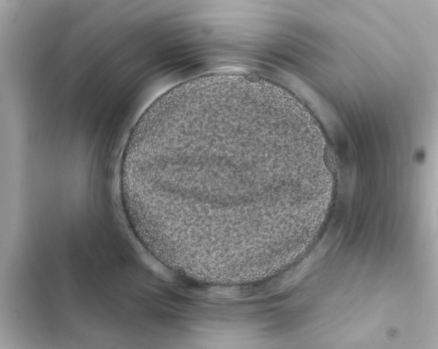 X0000103151194200809192022