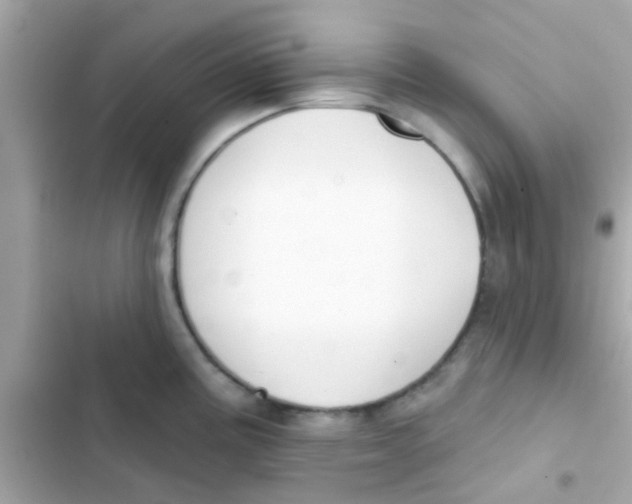 X0000103151195200809192022