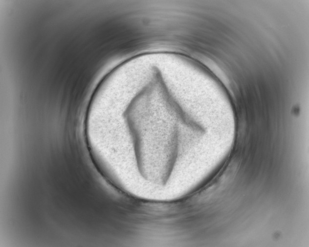 X0000103151197200809192022