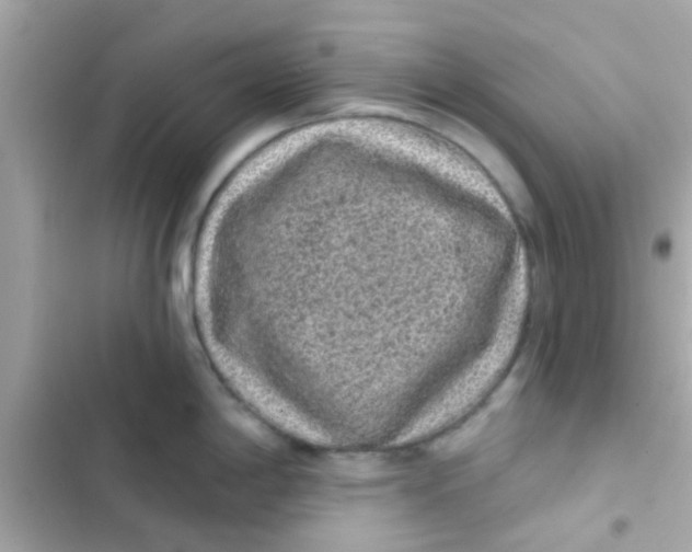 X0000103151198200809192022