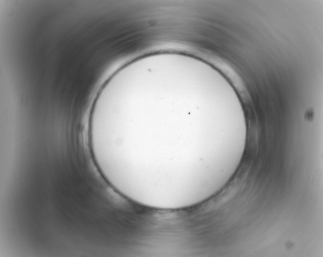 X0000103151199200809192022