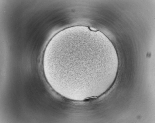 X0000103151200200809192022