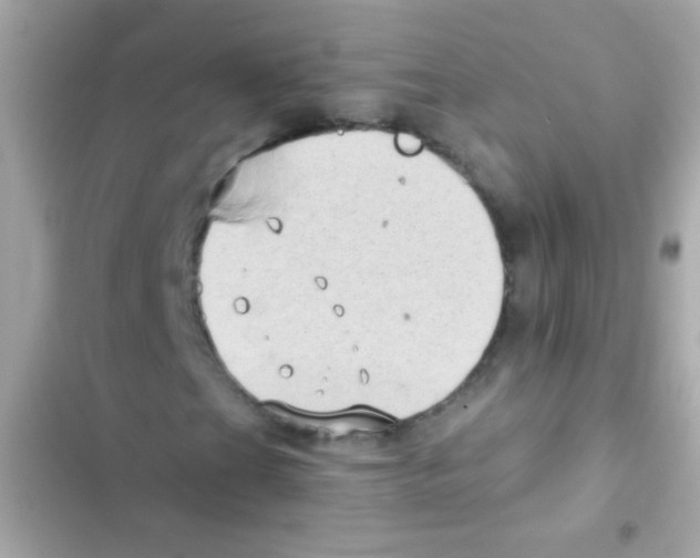 X0000103151201200809192021