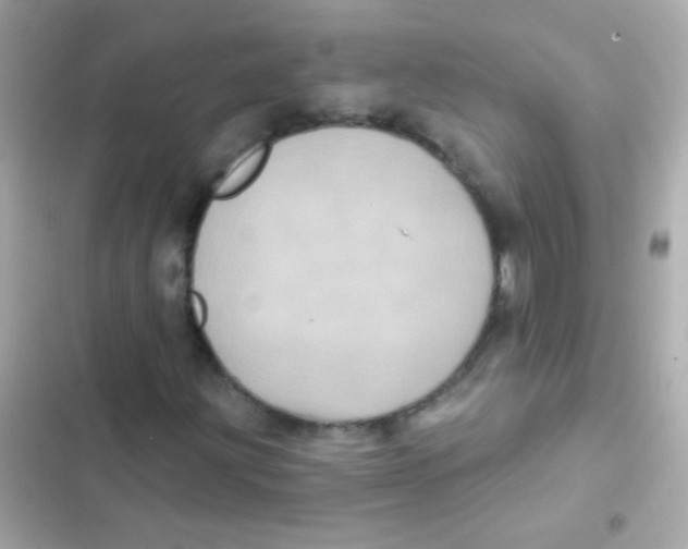 X0000103151203200809192021