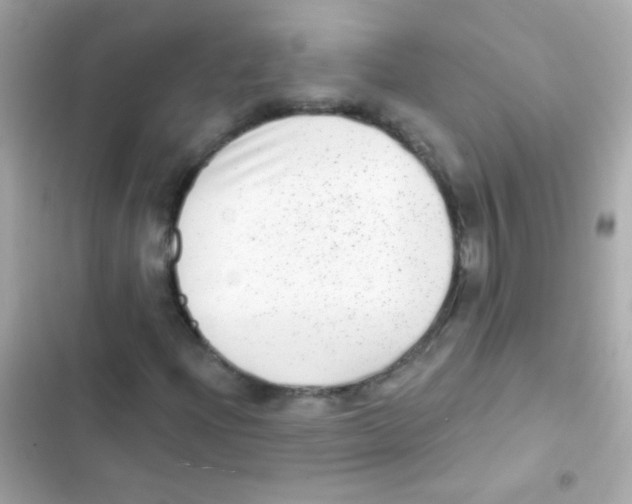 X0000103151204200809192021