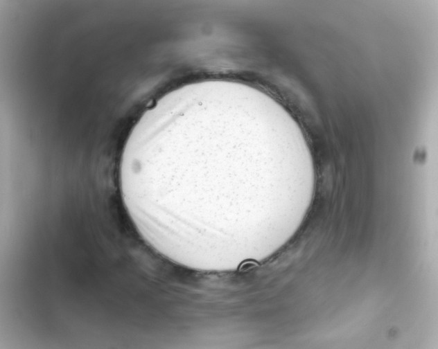 X0000103151205200809192021