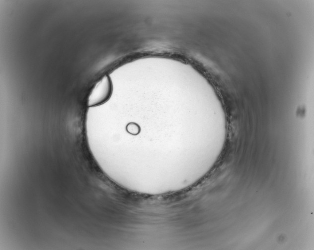 X0000103151206200809192021