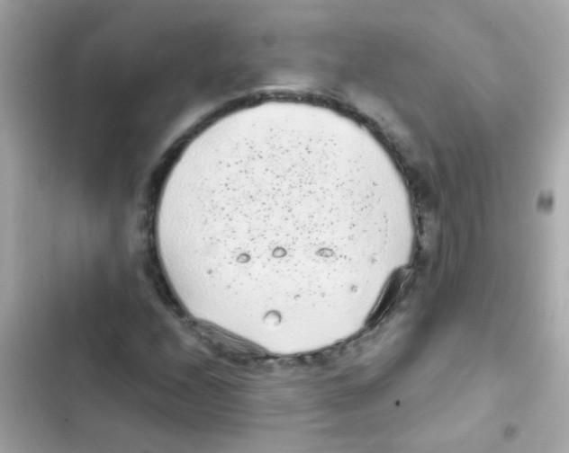 X0000103151208200809192021