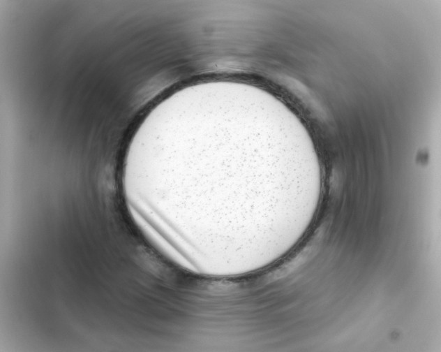 X0000103151209200809192021