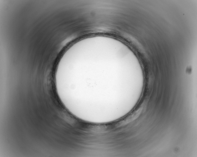 X0000103151210200809192021