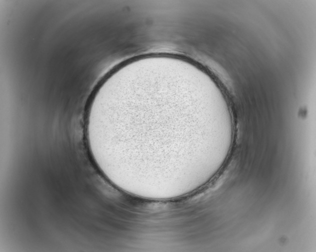 X0000103151212200809192021