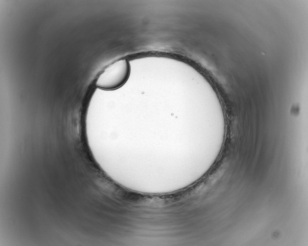 X0000103151214200809192021