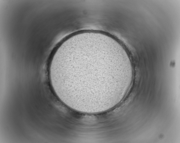 X0000103151215200809192021