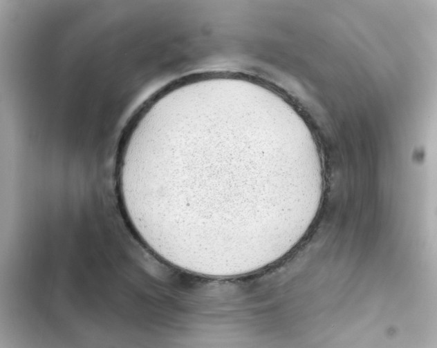 X0000103151216200809192021