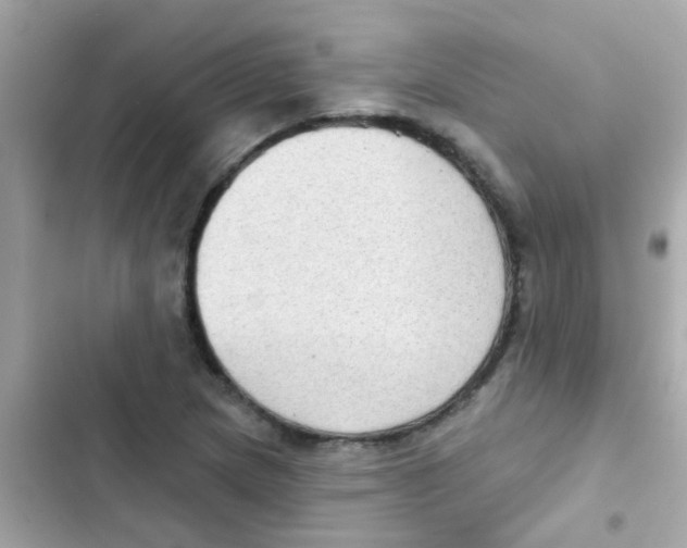 X0000103151217200809192021