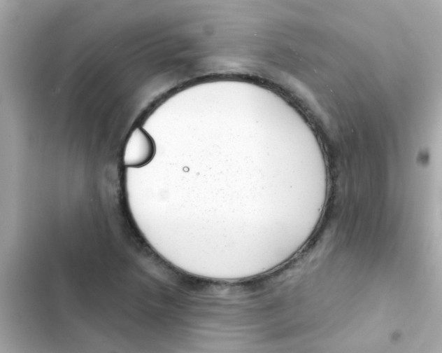 X0000103151218200809192021