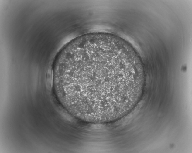 X0000103151219200809192021