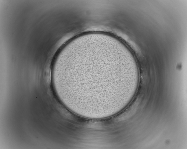 X0000103151221200809192021